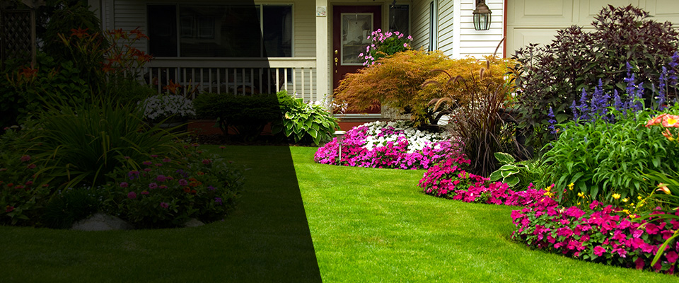 Chokio Landscapers