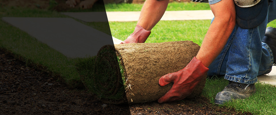 Chokio Landscapers